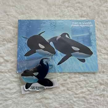 レア　名古屋港水族館限定　クリアファイル　ポストカード レア 名古屋港水族館限定 クリアファイル ポストカード - メルカリ